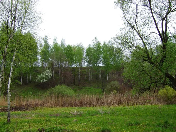 Landscape Ukrainian Forest Steppe Slobozhanshchina — Stock Photo, Image