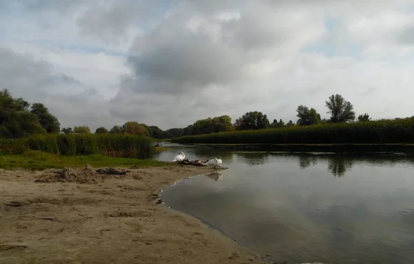 Flusslandschaft Osten Der Ukraine — Stockfoto