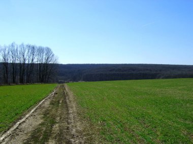 Peyezazh Kharkov yakınlarındaki bir gölet ile