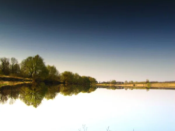 池の水面を孵化させた風景 — ストック写真