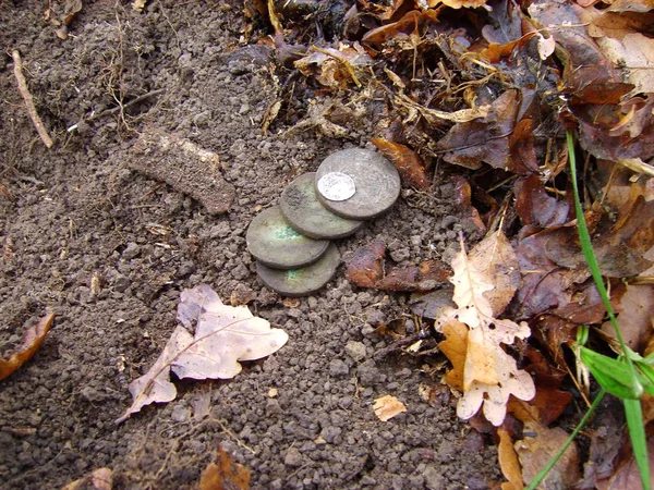 Anciennes Pièces Monnaie Sur Fond Forêt Automne — Photo