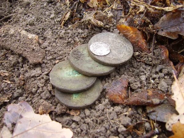 Старі Монети Тлі Осіннього Лісу — стокове фото