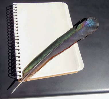 Defterin siyah panelinde boş bir not defteri ve kalem var.