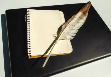 Boş yapraklı defter ve yırtıcı bir kuş beyaz arka planda dizüstü bilgisayarda yatıyor.