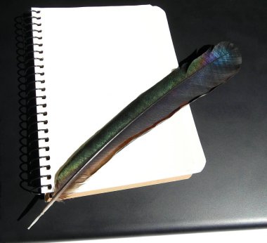 Boş yapraklı defter ve yırtıcı bir kuş beyaz arka planda dizüstü bilgisayarda yatıyor.