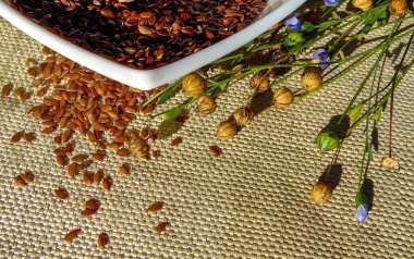 Keten çiçeklerin arasında beyaz bir tabakta keten tohumları çuval bezinde yatıyor.