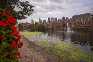Hollanda, Den Haag 'da Hofvijver ve Binnenhof
