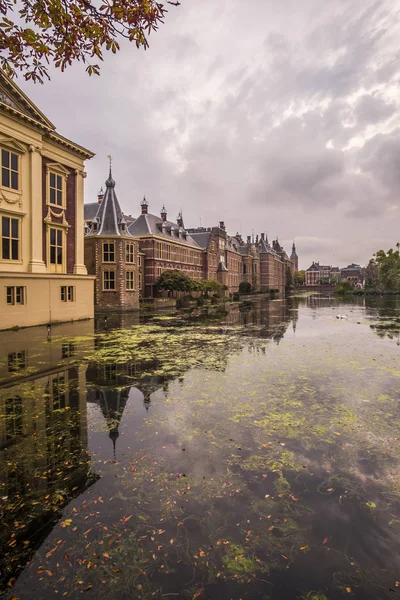 Hofvijver și Binnenhof în Den Haag, Olanda — Fotografie, imagine de stoc