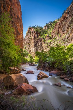 Utah, Abd'deki Güzel Zion Ulusal Parkı