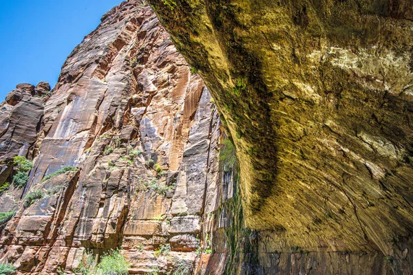 Beautiful Zion National Park in Utah, USA — Stock Photo, Image