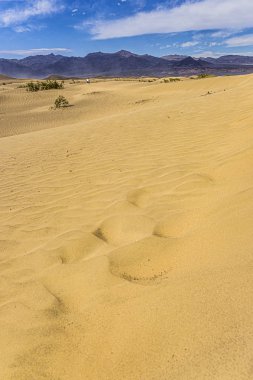 Kum tepeleri Peyzaj - Mesquite Düz Kum Tepeleri Death Valley Ulusal Parkı, California, Abd