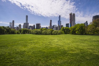 Central Park'taki Koyun Çayırı, New York City, Amerika Birleşik Devletleri