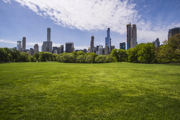 Ovčí louka v Central parku, New York City, USA — Stock fotografie