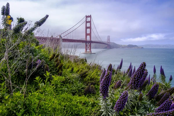 Ünlü golden gate Köprüsü san francisco, Kaliforniya, ABD — Stok fotoğraf