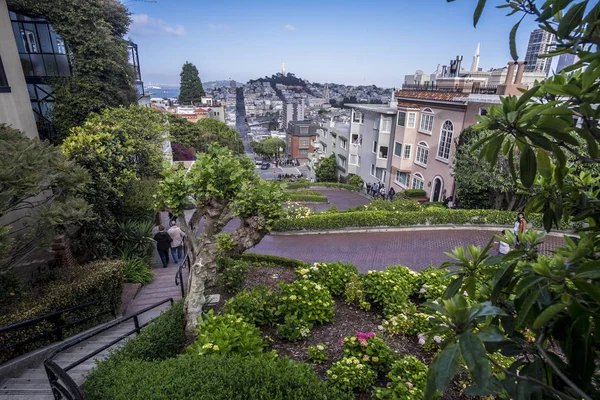 San Francisco'daki Ünlü Lombard Caddesi, Kaliforniya, Abd — Stok fotoğraf
