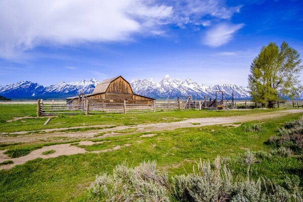 Barn on Mormon Row in Grand Teton, Wyoming, USA