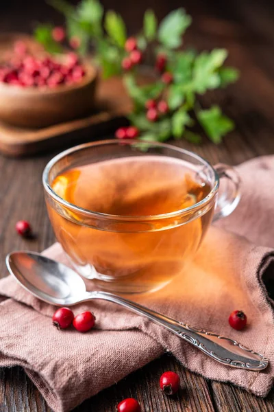 En kopp varmt hagtorn te gjort av nyplockade bär, örtmedicin för hjärtats hälsa — Stockfoto