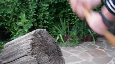 Genç adam kereste parçasına sıkışmış bir kesme baltası bırakır. Adam baltayı ağaç kütüğüne salar. Yakın çekim.