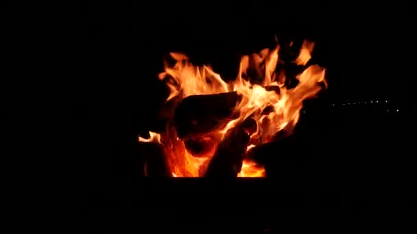 Bonfire Wood Burning Chop Wood Brazier Black Background Medium Close — Stock Video