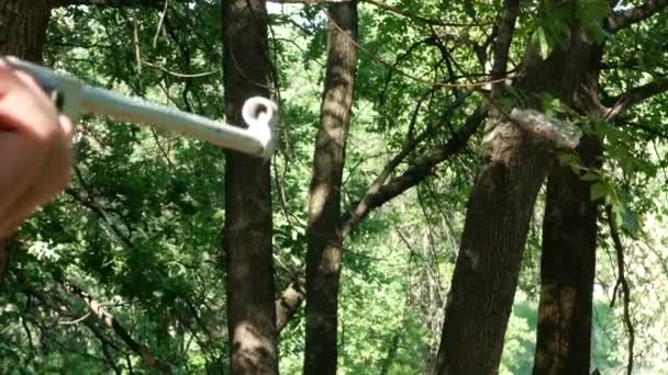 Человек Стреляет Пневматической Винтовки Лесу — стоковое видео
