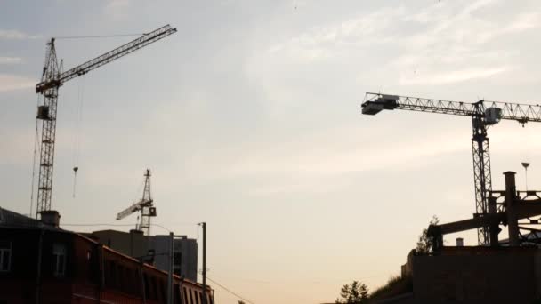 日没時の空の背景にタワークレーン 建設現場 空の鳥たち — ストック動画