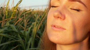 Mısır tarlasında ki kızıl saçlı güzel bir kızın portresi. Tatlı genç kadın gün batımı ışınlarının tadını çıkarıyor. Tarımsal Görüntüler. Yüz yakın çekim