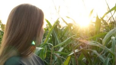 Mısır tarlasında mavi gözlü gülümseyen güzel bir kızın portresi. Haki sweatshirt genç kızıl saçlı kadın kameraya döner ve gün batımında gülümsüyor. Tarımsal Görüntüler. Yakın çekim