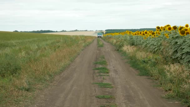 Φορτηγό Αγρόκτημα Κινείται Γρήγορα Κατά Μήκος Χωματόδρομου Μεταξύ Των Αγρών — Αρχείο Βίντεο