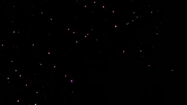 Fuegos artificiales de colores sobre el fondo del cielo oscuro — Vídeo de stock