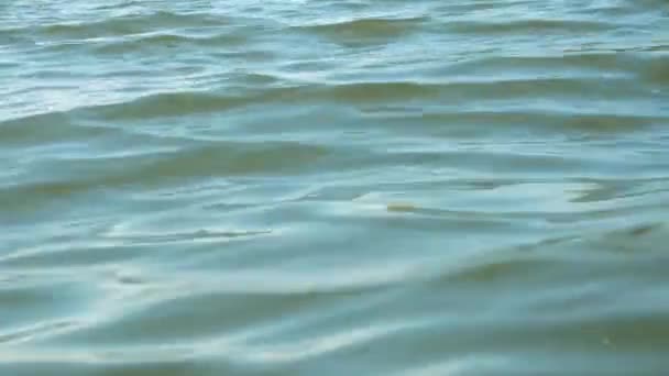 Onde superficiali dell'acqua da un lago, mare, oceano o fiume per la consistenza dello sfondo — Video Stock