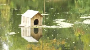 Bir gölet üzerinde yüzen ahşap kuş evi