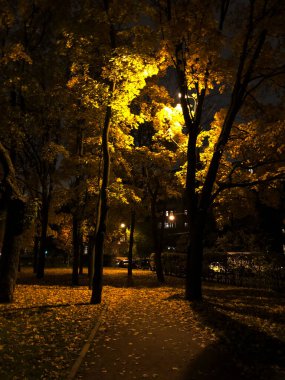 Sonbahar. Geceleri parkta ağaçlar..