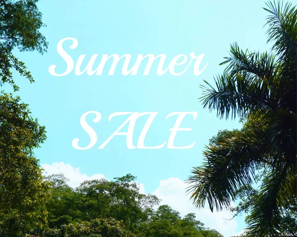 Hindistan cevizi palmiye ağaçları ve mavi gökyüzü. Yaz indirimi.