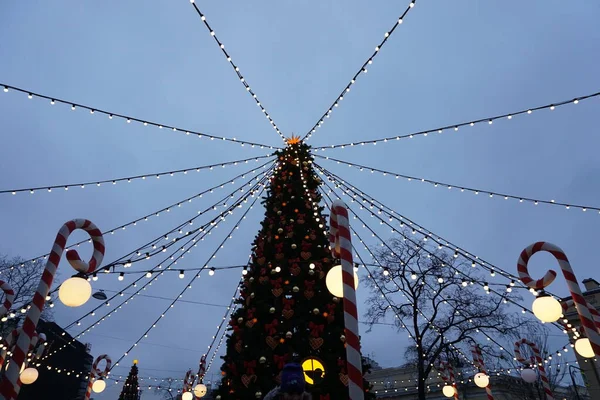 Dekoratif topları olan fidan ağacı. Noel arkaplanı.