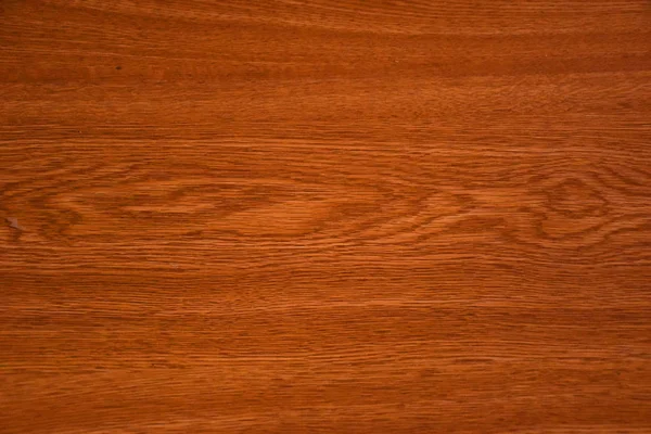 herhangi bir amaç için arka plan renkli