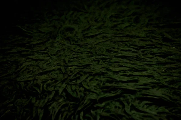 herhangi bir amaç için arka plan renkli