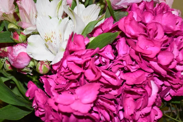 bir buket farklı renklerde çiçekler. Birçok farklı renk.