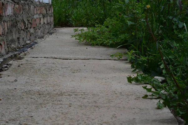 beton levha. Beton doku