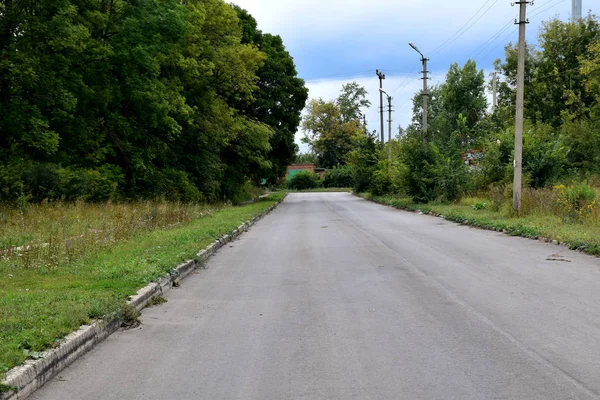 Sonbahar Parkı. Soğuk mevsim doğa arka plan