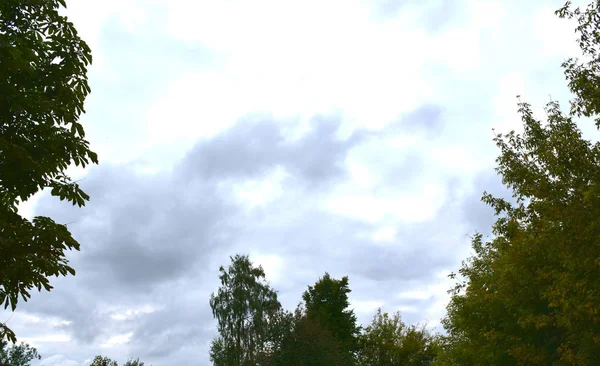 bulutlu sonbahar gökyüzü kalın bulutlar