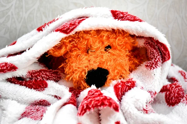 soğuk bir battaniye yumuşak oyuncak