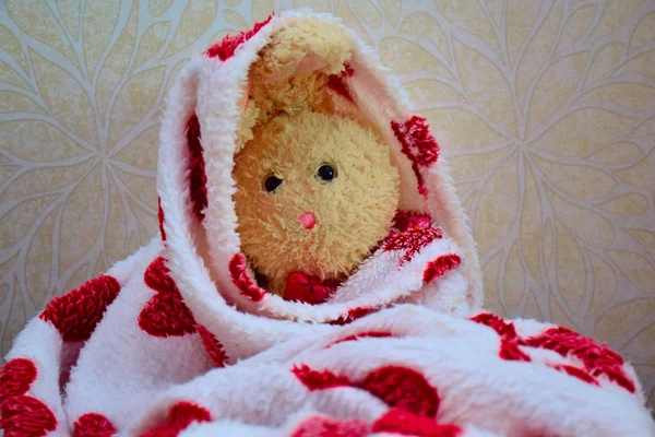 soğuk bir battaniye yumuşak oyuncak