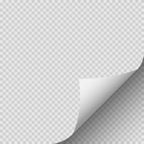 Gewellte Ecke Aus Papier Mit Schatten Auf Transparentem Hintergrund Vektorillustration — Stockvektor
