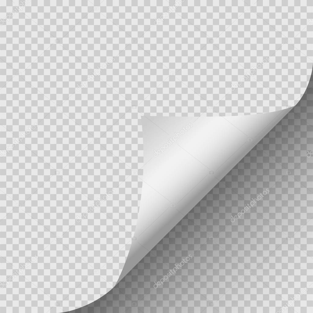 Curled corner of paper with shadow on transparent background.Vector illustration.