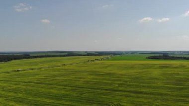 Tarlaların, nehrin, çimlerin ve küçük şehrin üzerinde uçuyorlar. Kolomna Rusya