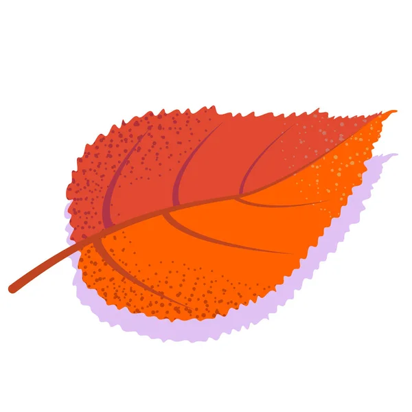 Orange vector elm leaf with shadow, isolated on white background. — Stock Vector