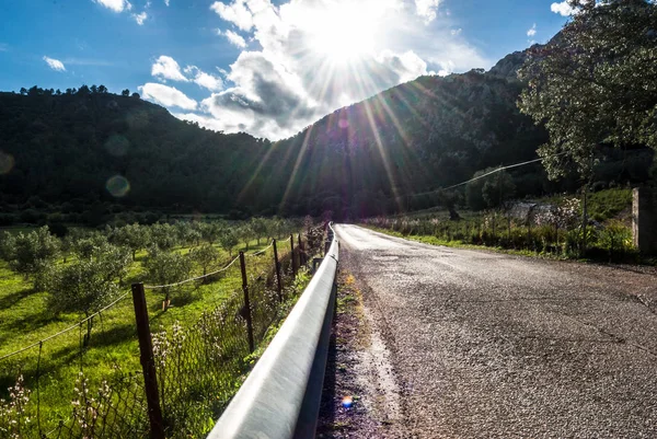 Sunny Country Road Majorka Baleary Hiszpania Europa — Zdjęcie stockowe