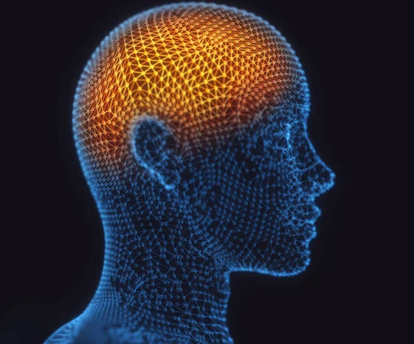 Ilustración Cerebro Humano Una Estructura Conexiones Poligonales Que Representan Poder —  Fotos de Stock