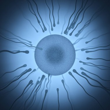 İnsan üreme kavramsal görüntü. Sperm yumurta almaya çalışırken.