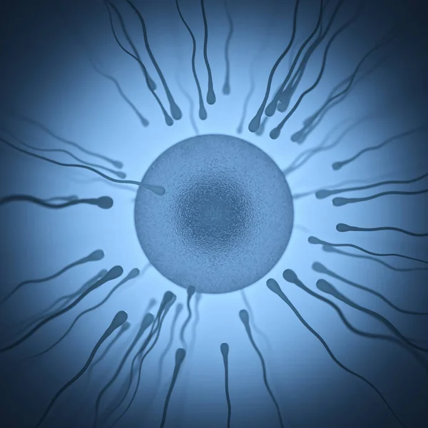 Conceptual image of human reproduction. Sperm trying to get into the egg.